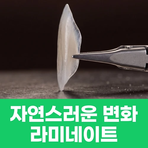 심미치료