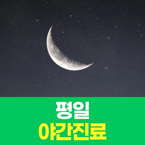 야간진료